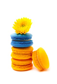 pelaa pokeria selaimessa