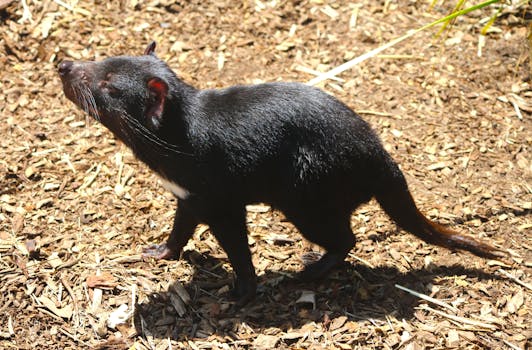 asuntolaina toinen työtön