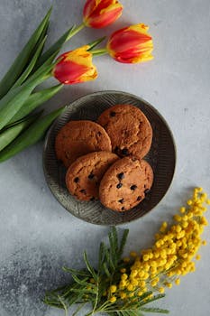 casinoeuro bonuskoodi