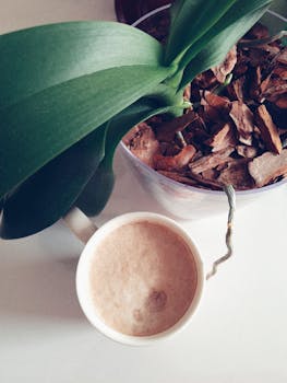 ryöstö kasino korttipeli