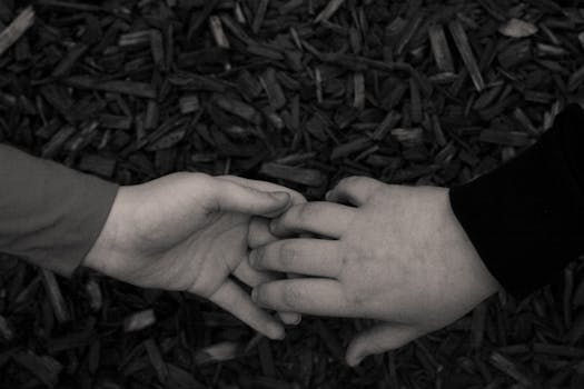 bank norwegian lainan korko