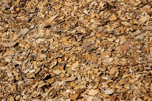 finnair plus palkintomatkat