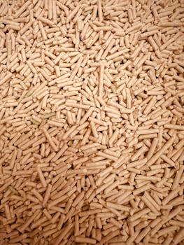 barz casino kokemuksia