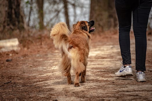 nordax fi omat sivut