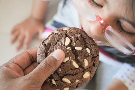 spinrider casino kokemuksia