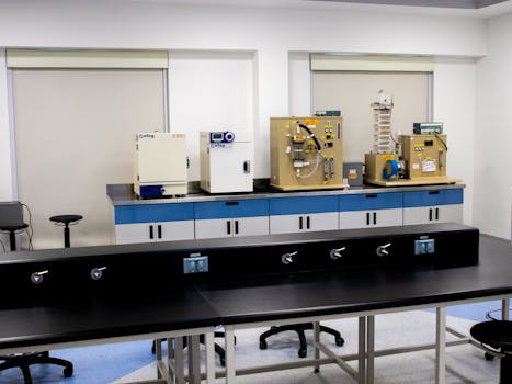 finnair plus pisteen arvo