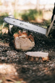 casino 1 euro talletus