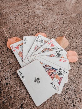 bonuskoodi expekt sports