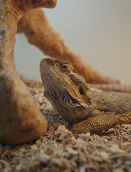 paljon pitää olla omaa rahaa asuntolainaan