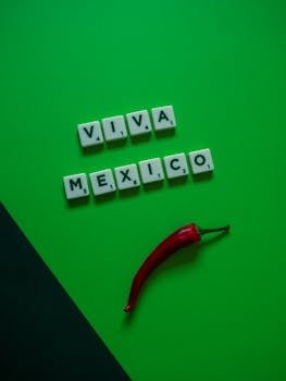 autolaina pankista vai rahoitus