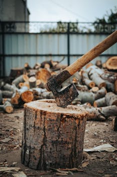 barz casino kokemuksia