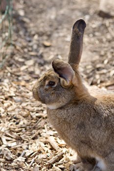 bonuskoodi expekt sports